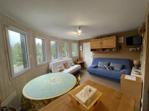 T2 cosy au cœur de Laveissière - Pr��s des pistes, commerces et patinoire - FR-1-787-37